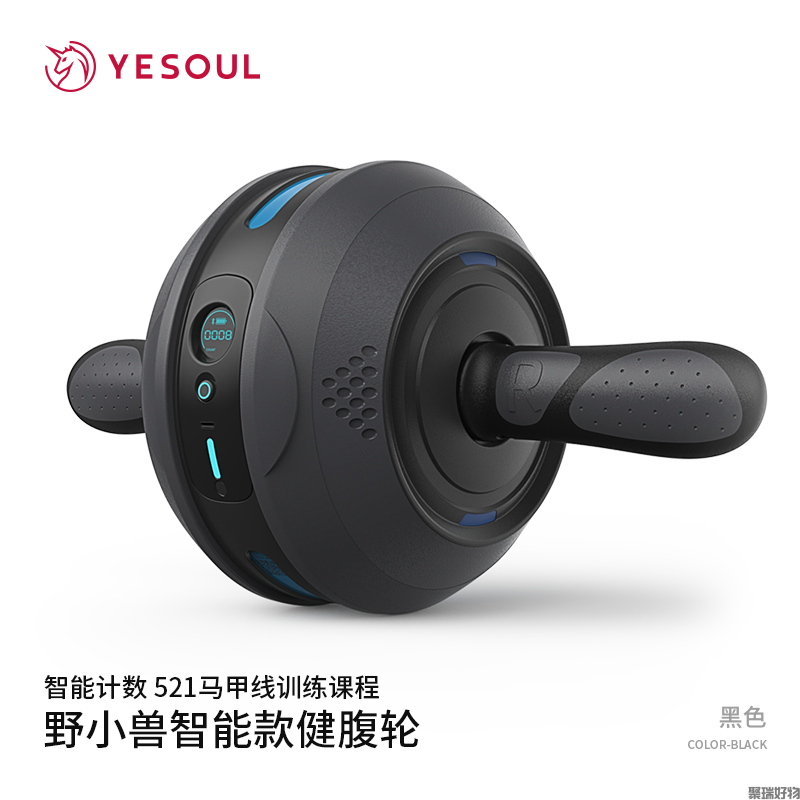野小兽健腹轮智能版J20